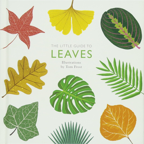 Бумажная книга «The Little Guide to Leaves» - фото №1