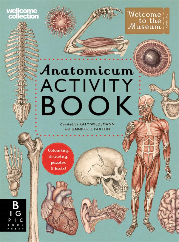 [object Object] «Anatomicum Activity Book», автор Дженнифер Пакстон - фото №1