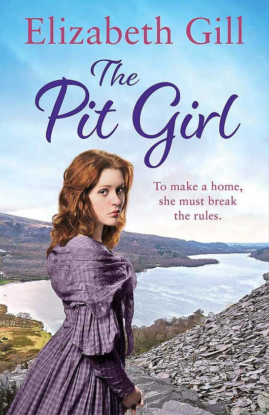 Бумажная книга «The Pit Girl», автор Элизабет Гилл - фото №1