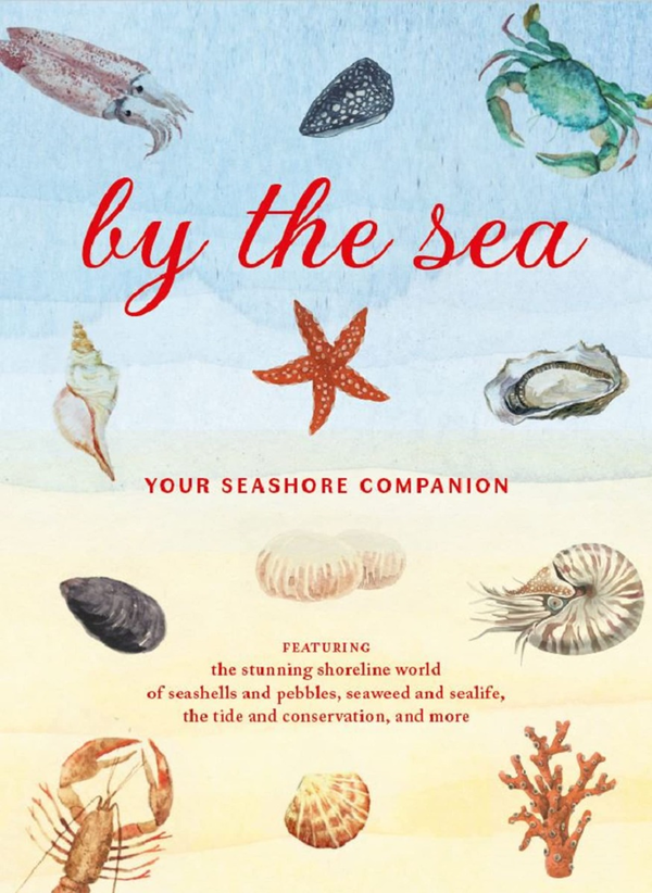 Бумажная книга «By the Sea. Your Seaside Companion», автор Сьюзан Келли - фото №1