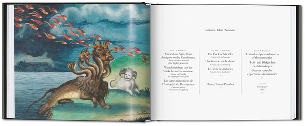 Бумажная книга «The Book of Miracles», автор Тилль-Хольгер Борхерт - фото №1