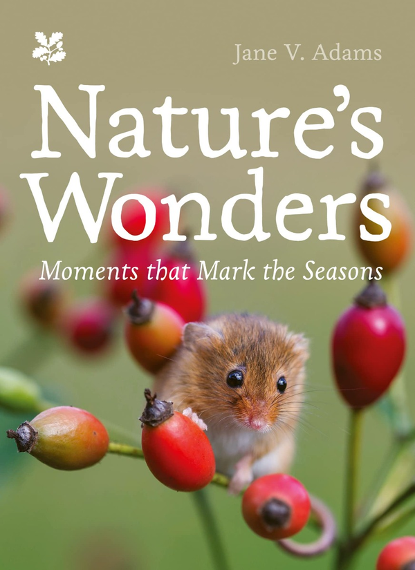 Бумажная книга «Nature's Wonders. Moments That Mark the Seasons» - фото №1