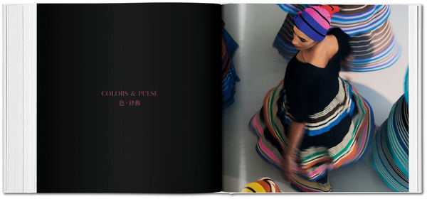 Бумажная книга «Issey Miyake» - фото №1
