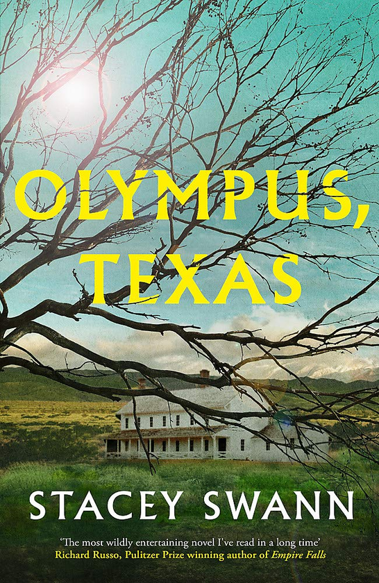 Бумажная книга «Olympus, Texas», автор Стейси Суонн - фото №1