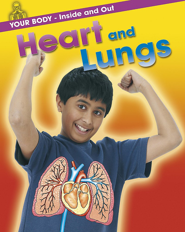 Паперова книга «Your Body: Inside and Out: Heart and Lungs», автор Ендрю Солвей - фото №1