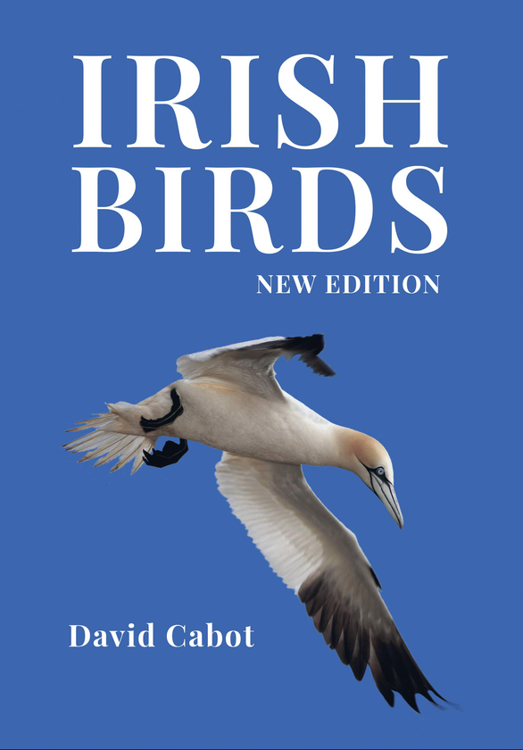 Паперова книга «Irish Birds», автор Девід Кебот - фото №1