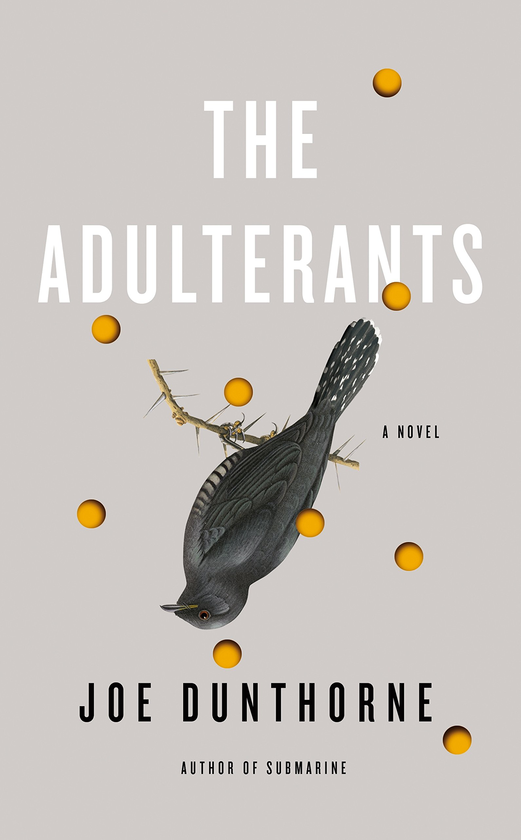Паперова книга «The Adulterants», автор Джо Данторн - фото №1