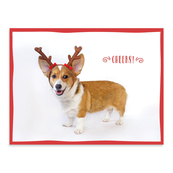 Бумажная книга «Festive Furry Friends Deluxe Notecard Collection» - фото №1