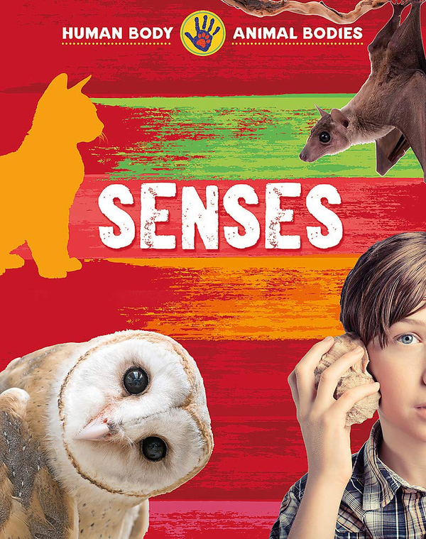Бумажная книга «Senses», автор Иззи Хауэлл - фото №1