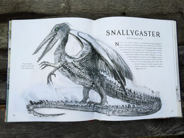 Бумажная книга «Fantastic Beasts and Where to Find Them», автор Джоан Роулинг - фото №1