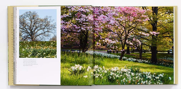Бумажная книга «The New York Botanical Garden», авторов Грегори Лонг, Тодд Форрест - фото №1