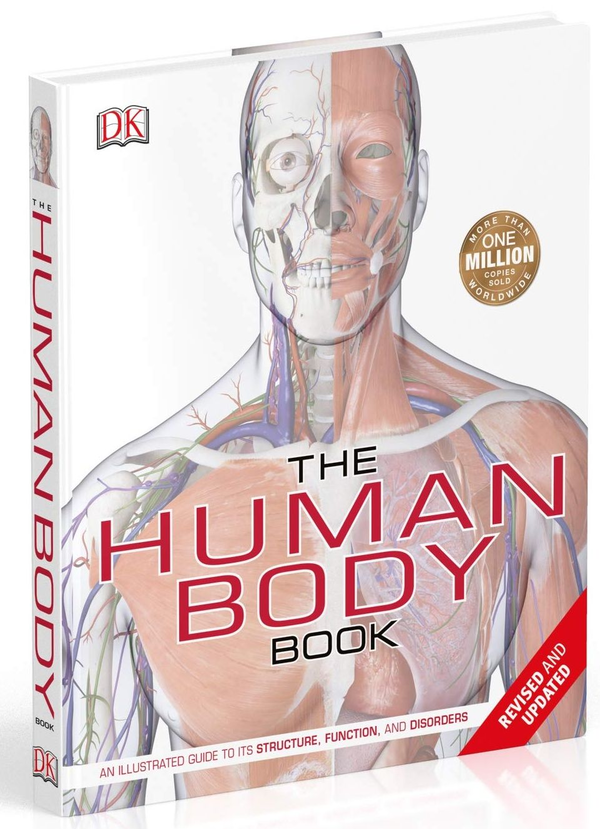 Бумажная книга «The Human Body Book», авторов Стив Паркер, Ричард Уолкер - фото №1