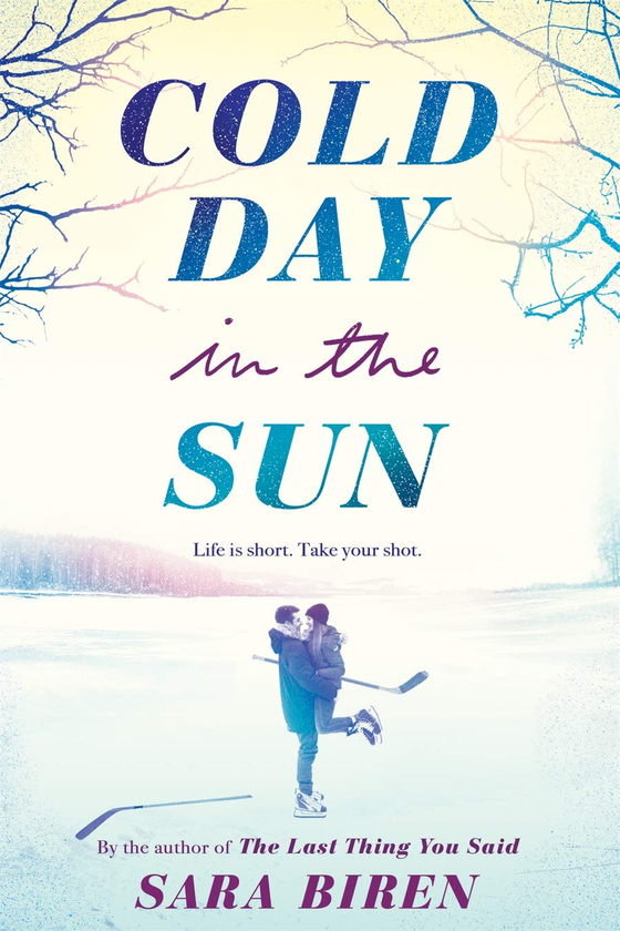 Паперова книга «Cold Day in the Sun», автор Сара Бірен - фото №1