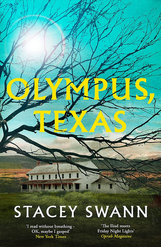 Бумажная книга «Olympus, Texas», автор Стейси Суонн - фото №1