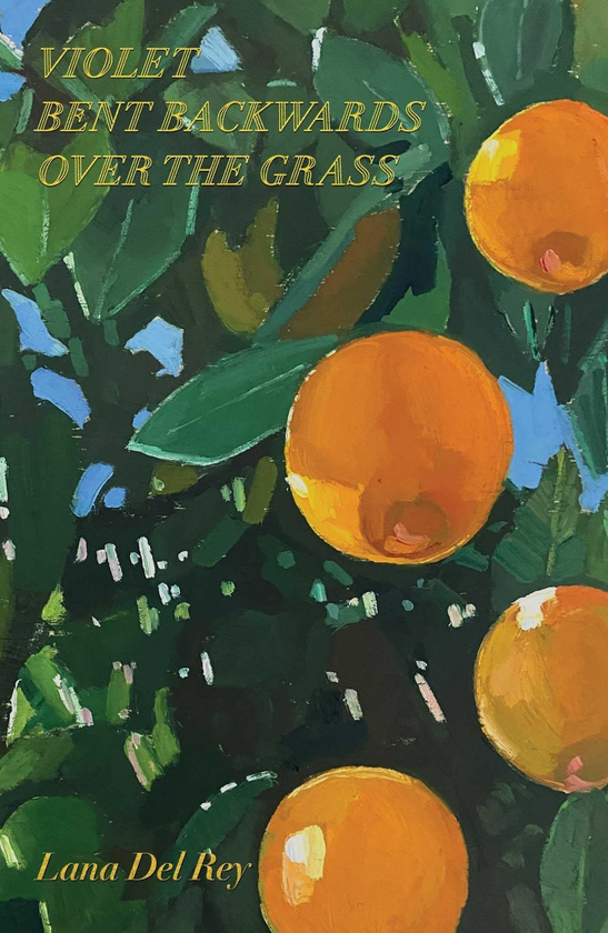Книга «Violet Bent Backwards Over the Grass» – Лана Дель Рей