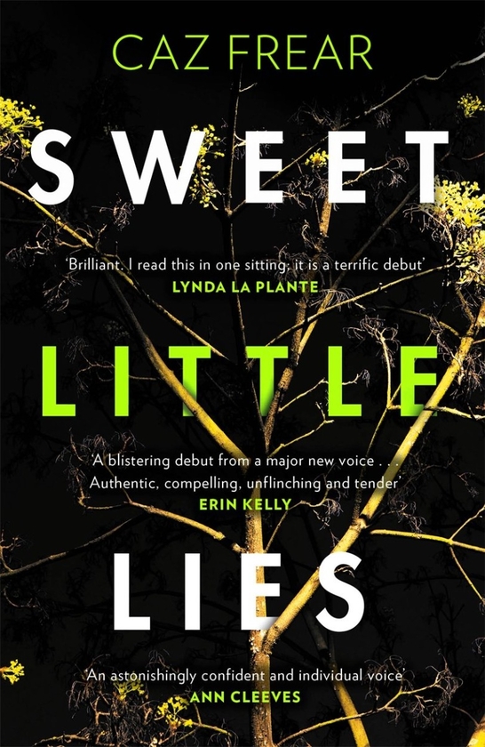 Бумажная книга «Sweet Little Lies», автор Каз Фрир - фото №1