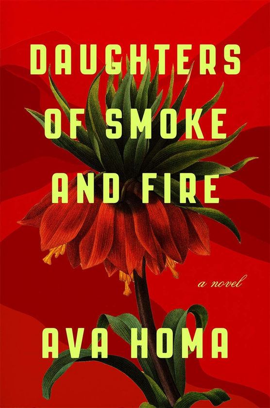 Бумажная книга «Daughters of Smoke and Fire: A Novel» - фото №1