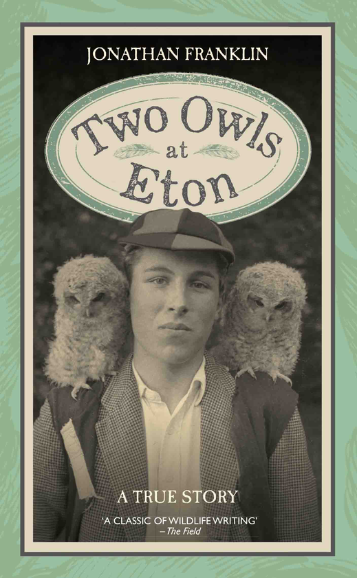 Паперова книга «Two Owls at Eton - A True Story», автор Джонатан Франклін - фото №1
