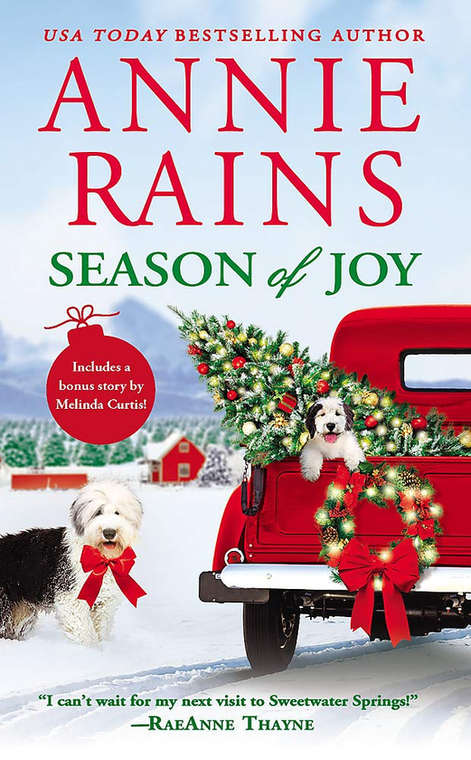 Паперова книга «Season of Joy», автор Енні Рейнс - фото №1