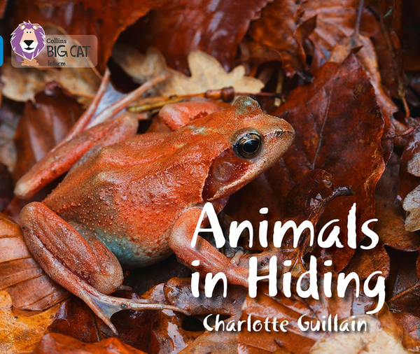 Паперова книга «Animals in Hiding», автор Шарлотта Гійєн - фото №1