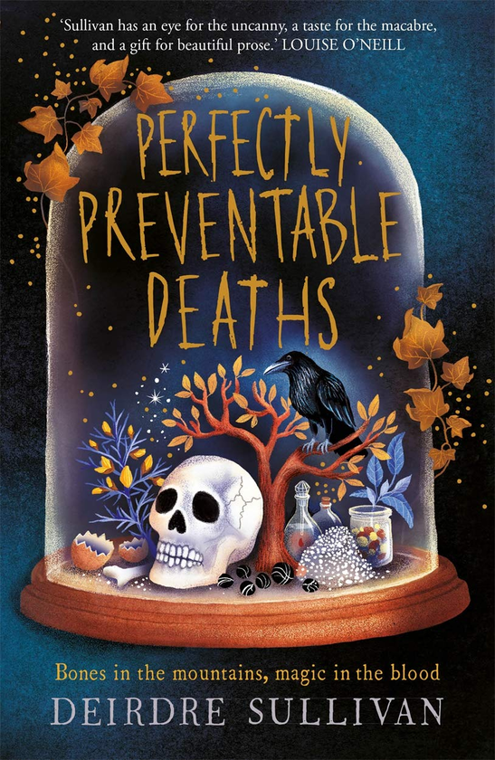 Паперова книга «Perfectly Preventable Deaths», автор Дейрдре Салліван - фото №1