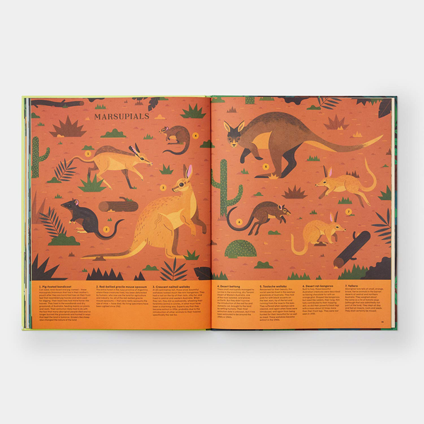 Бумажная книга «Extinct. An Illustrated Exploration of Animals That Have Disappeared», автор Лукас Риера - фото №1