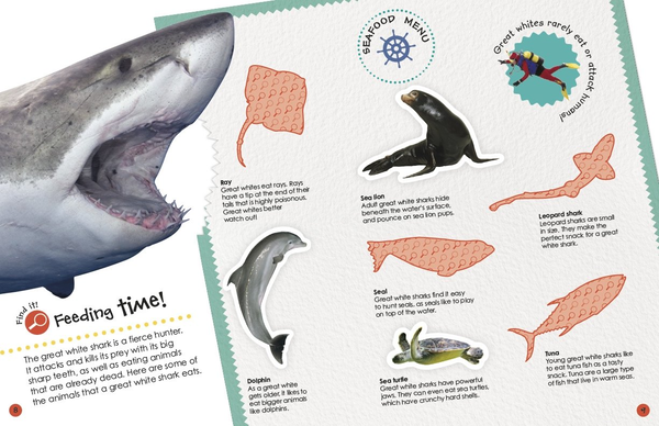 Бумажная книга «Sharks» - фото №1