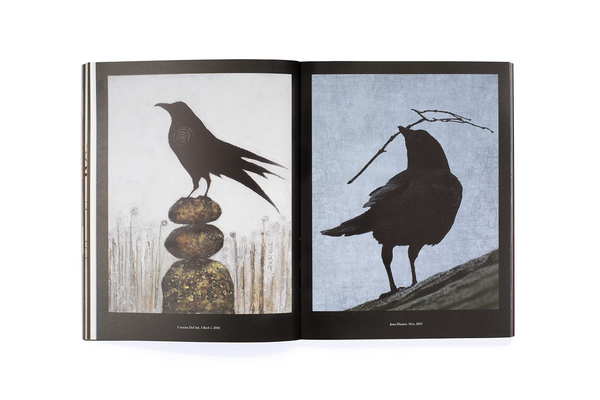 Бумажная книга «The Book of the Raven. Corvids in Art and Legend», авторов Ангус Хайленд, Кэролайн Робертс - фото №1