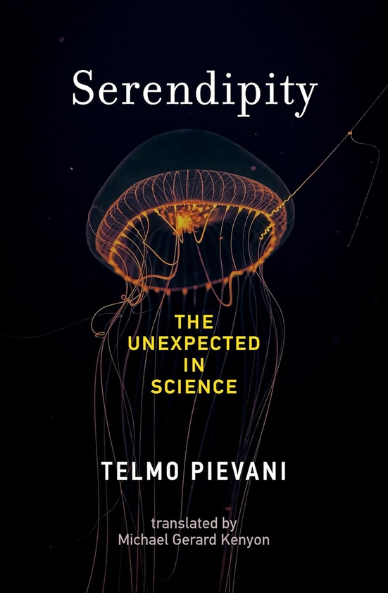 [object Object] «Serendipity», авторов Майкл Жерар Кеньон, Тельмо Пиевани - фото №1