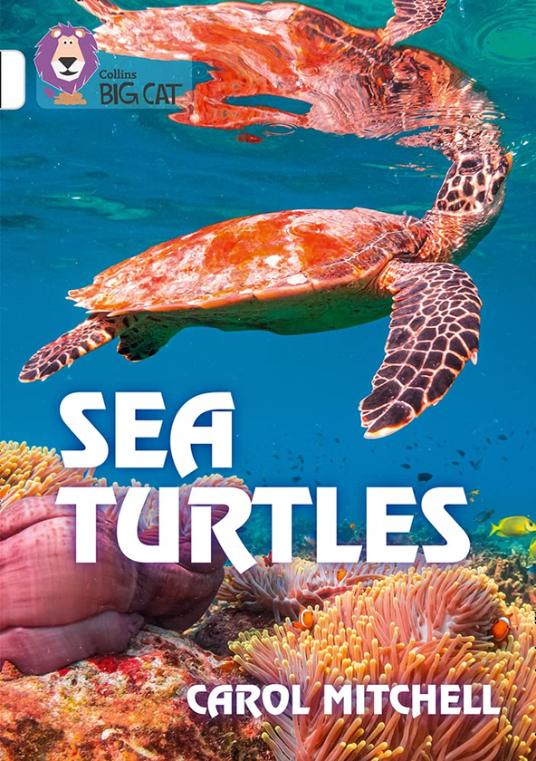 Бумажная книга «Sea Turtles. Band 10», автор Кэрол Митчелл - фото №1