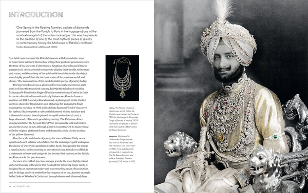 Бумажная книга «Jewelry for Gentlemen», автор Джеймс Шервуд - фото №1
