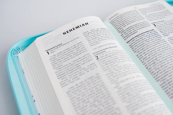 Бумажная книга «NIV Pocket Mint Soft-tone Bible with Zip» - фото №1