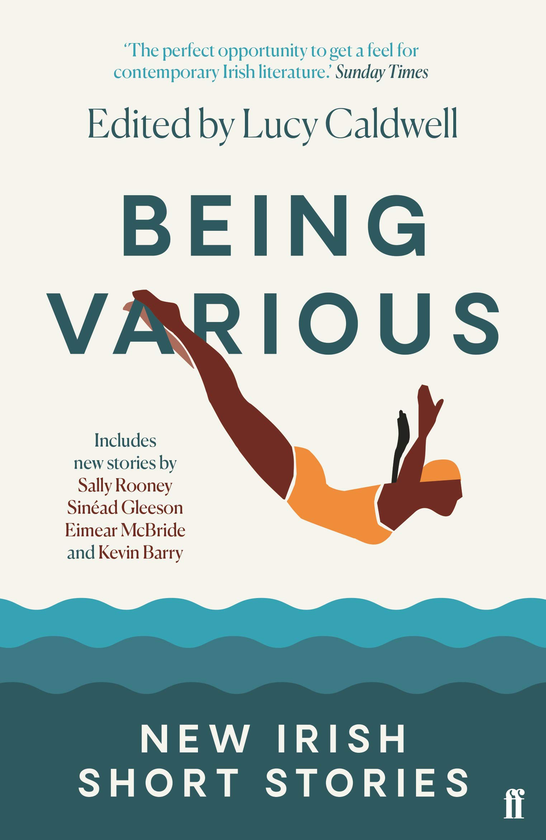 Паперова книга «Being Various. New Irish Short Stories» - фото №1