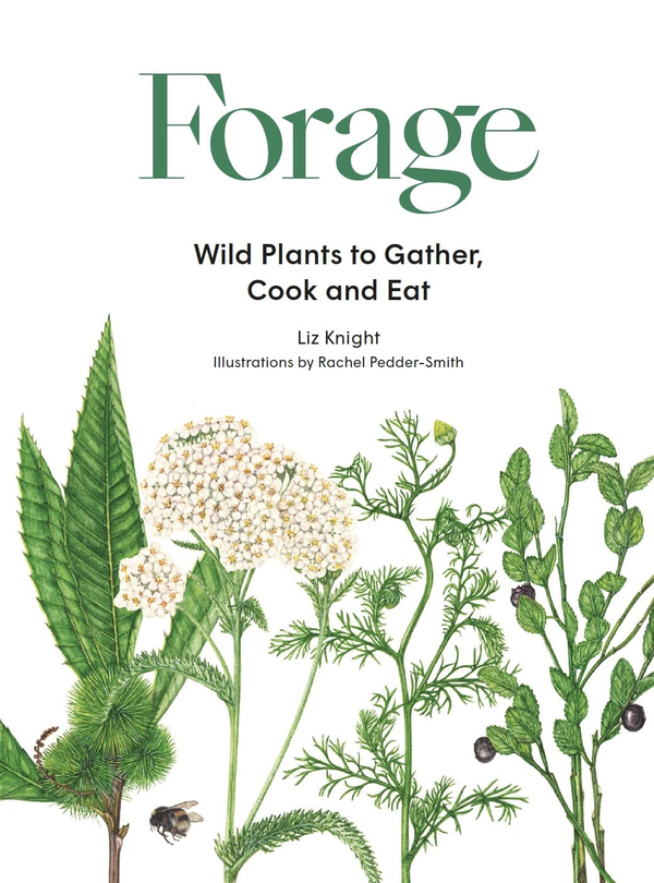 Паперова книга «Forage. Wild plants to gather and eat», автор Ліз Найт - фото №1