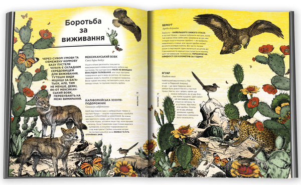 [object Object] «Диво-сад», авторов Дженни Брум, Кристьяна С. Уильямс - фото №4 - миниатюра