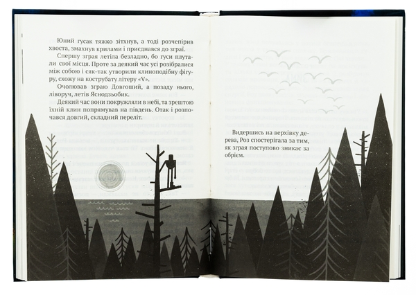 Бумажная книга «Дикий робот», автор Питер Браун - фото №1