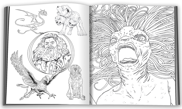 Бумажная книга «Harry Potter. Ювілейне видання» - фото №1