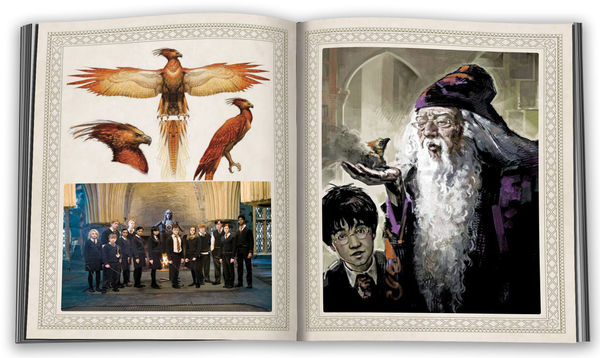Бумажная книга «Harry Potter. Ювілейне видання» - фото №1