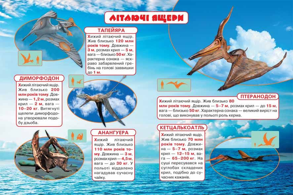 Паперова книга «Твоя перша книжка. Динозаври» - фото №1