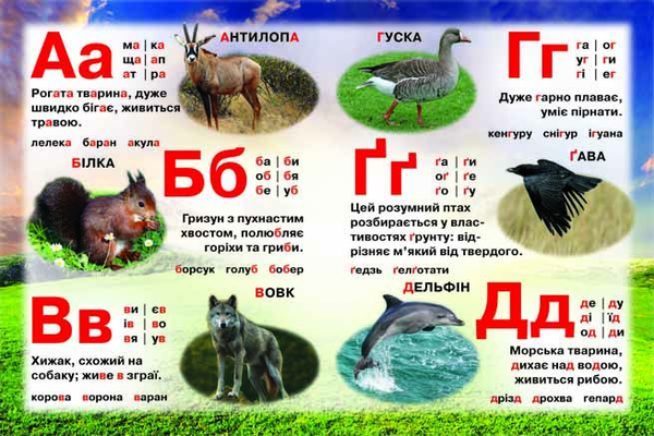 Паперова книга «Твоя перша книжка. Жива абетка» - фото №1