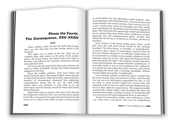 Паперова книга «Tess of the d'Urbervilles. A Pure Woman Faithfully Presented», автор Томас Гарді - фото №1