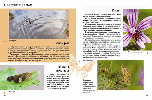 Бумажная книга «Комахи та інші» - фото №1