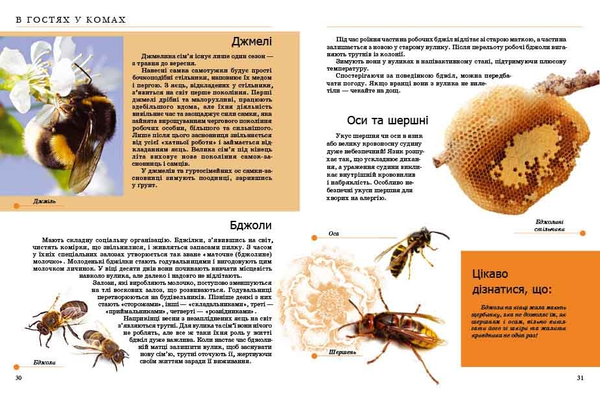 Бумажная книга «Комахи та інші» - фото №1