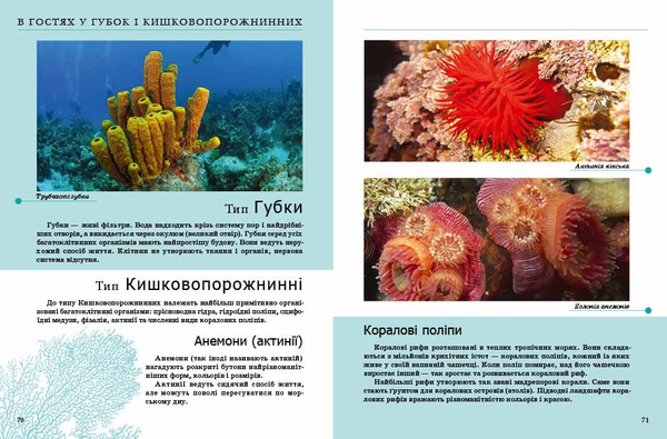 Бумажная книга «Комахи та інші» - фото №1