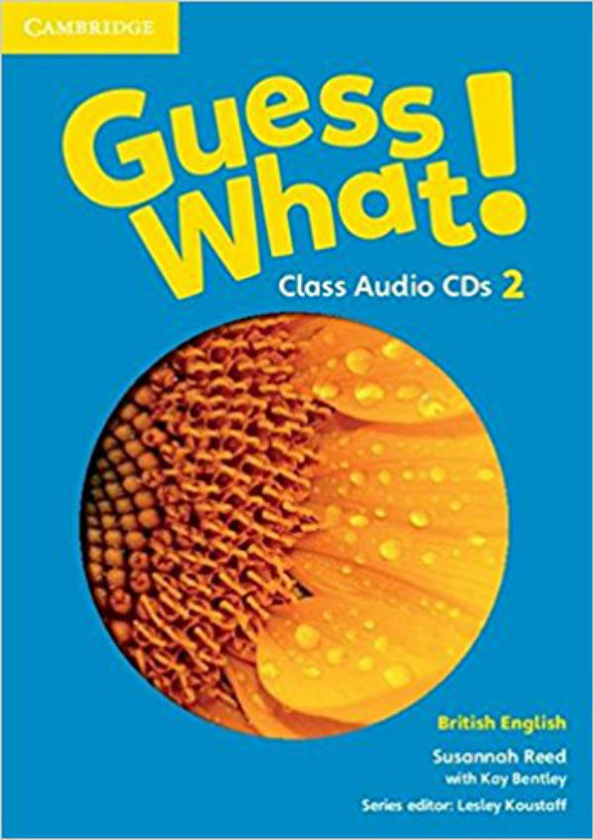 Бумажная книга «Guess What! 2 Class Audio CDs» - фото №1
