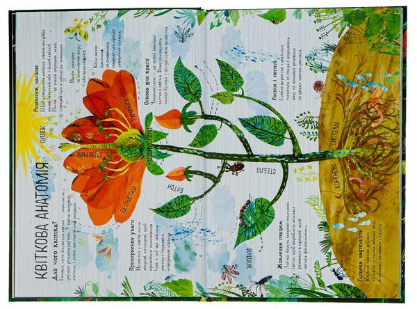 Бумажная книга «Велика книга квітів», автор Юваль Зоммер - фото №1