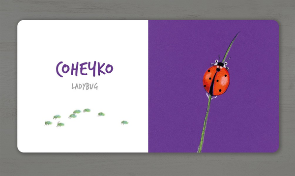 Бумажная книга «Комахи», автор Екатерина Таберко - фото №1