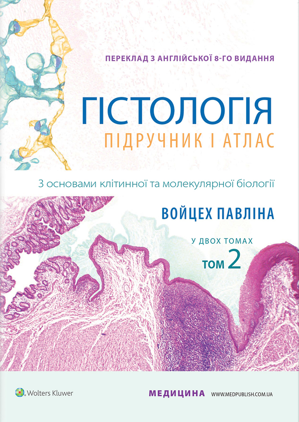 [object Object] «Гістологія. Підручник і атлас. З основами клітинної та молекулярної біології. У 2-х томах. Том 2», авторов Майкл Росс, Войцех Павлина - фото №1