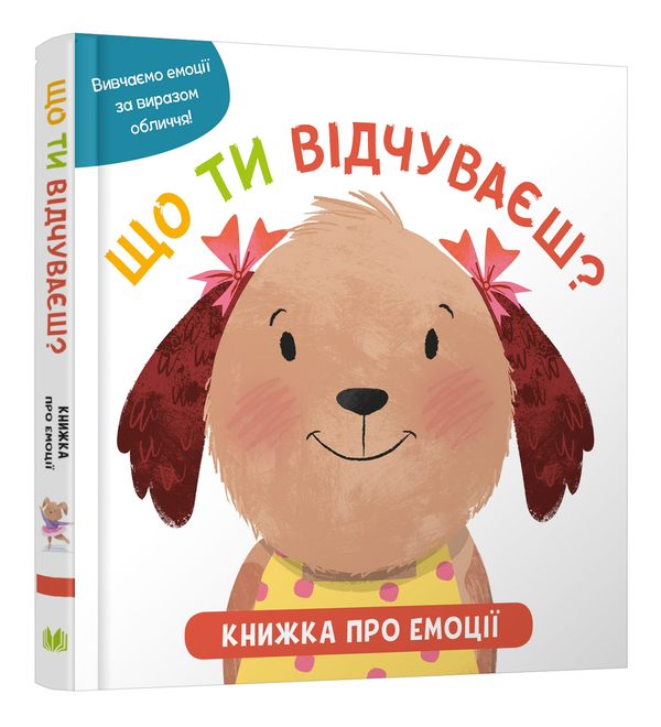 Паперова книга «Що ти відчуваєш? Книжка про емоції для малюків», авторів Наталі Мандей, Меддокс Філпот, Кайлі Гемлі - фото №1
