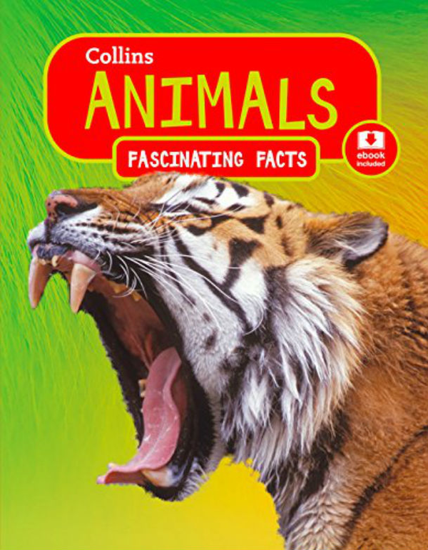 Паперова книга «Fascinating Facts: Animals» - фото №1